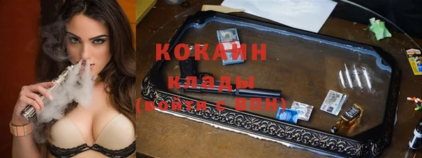 мет Елизово