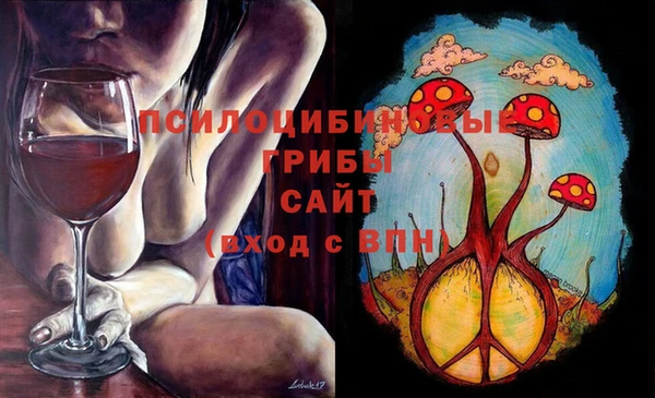 дурь Осташков