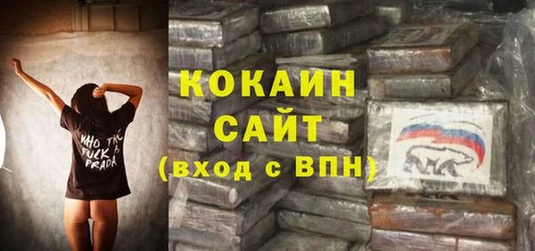 дурь Осташков
