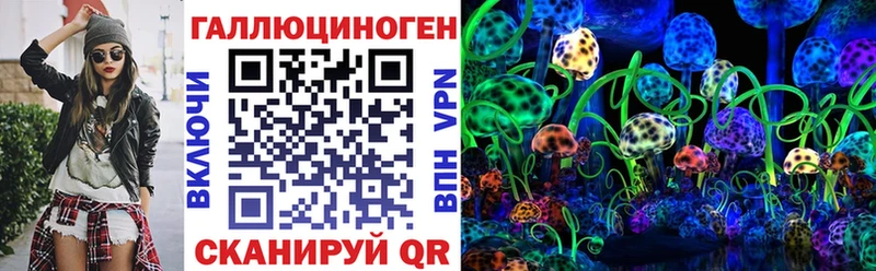 mega маркетплейс Себеж Псилоцибиновые грибы GOLDEN TEACHER